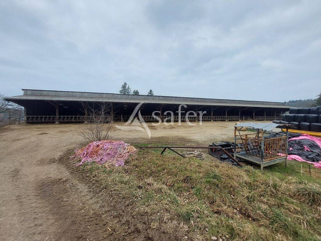 Propri&eacute;t&eacute; agricole sur environ 54 ha bien group&eacute;s