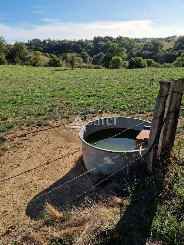 ILOT DE TERRES DE 12HA