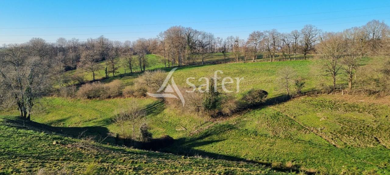 ILOT DE TERRES DE 12HA