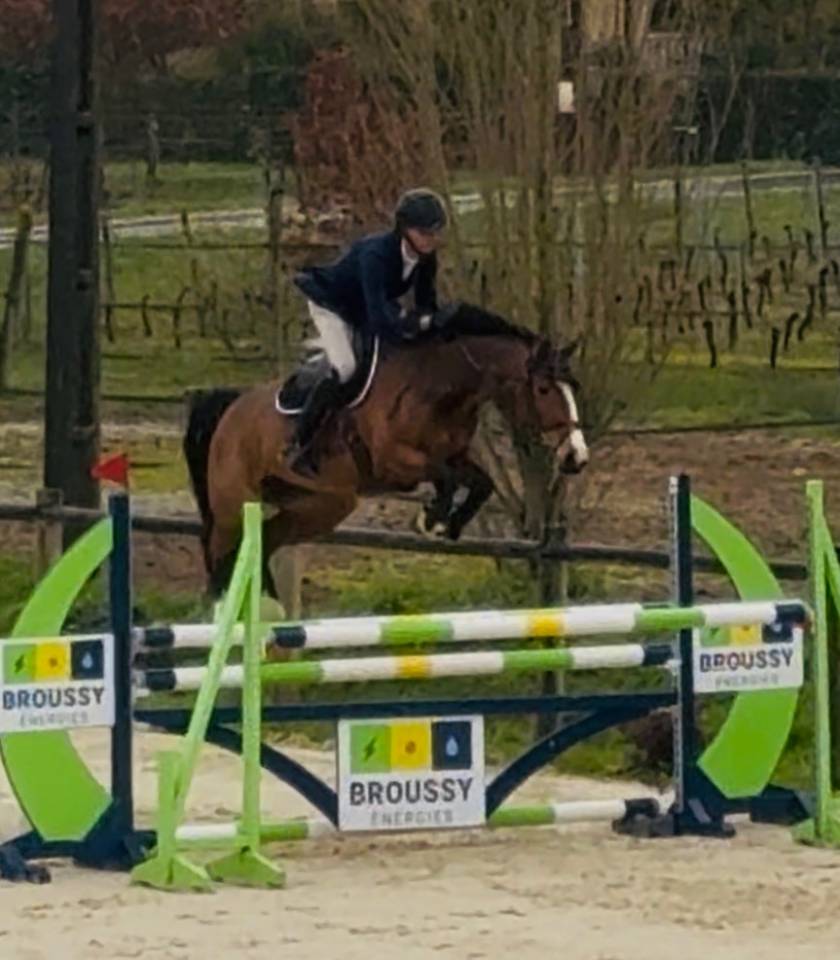 Jument 6 ans / belles origines / mod&egrave;le / respect 