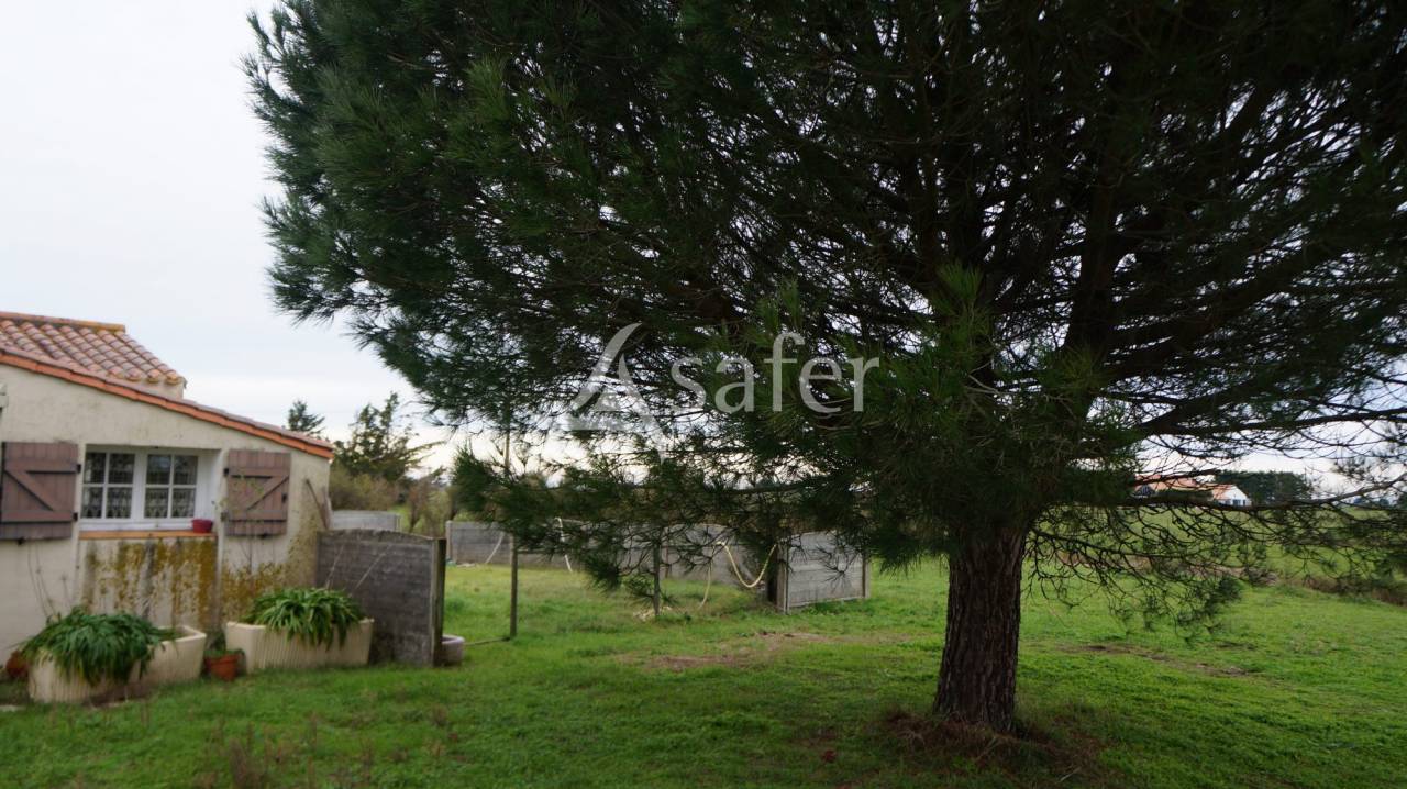 Long&egrave;re vend&eacute;enne sur bel &icirc;lot de p&acirc;ture