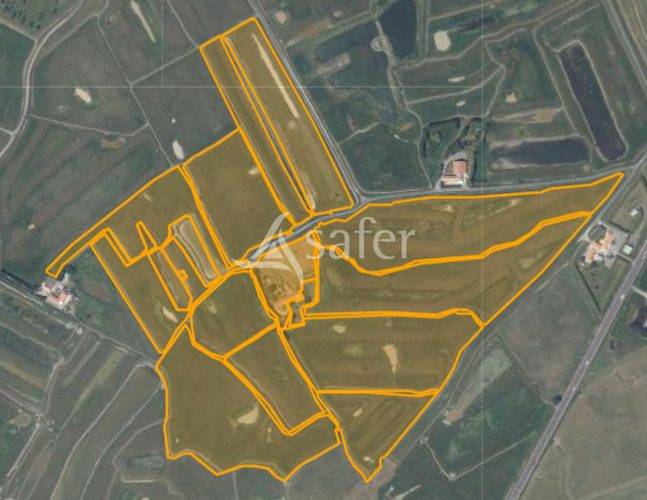 Long&egrave;re vend&eacute;enne sur bel &icirc;lot de p&acirc;ture