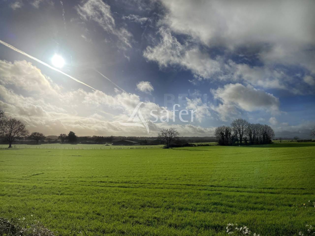 Exploitation Caprine + transformation &agrave; la ferme