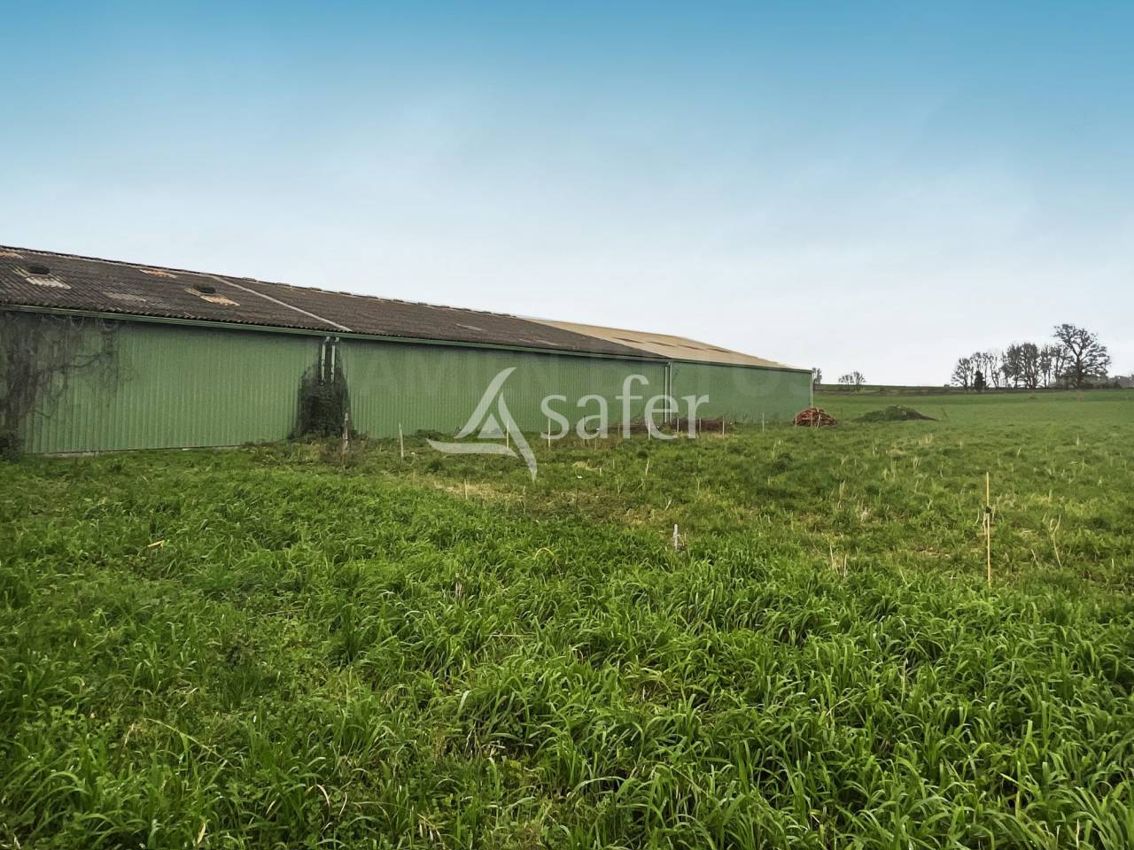 Exploitation Caprine + transformation &agrave; la ferme