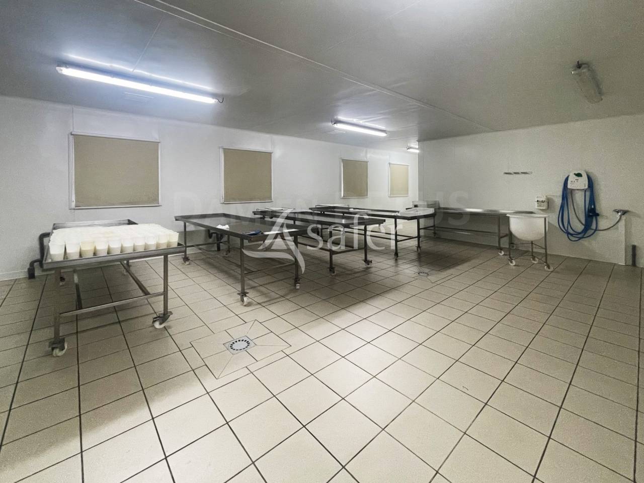 Exploitation Caprine + transformation &agrave; la ferme