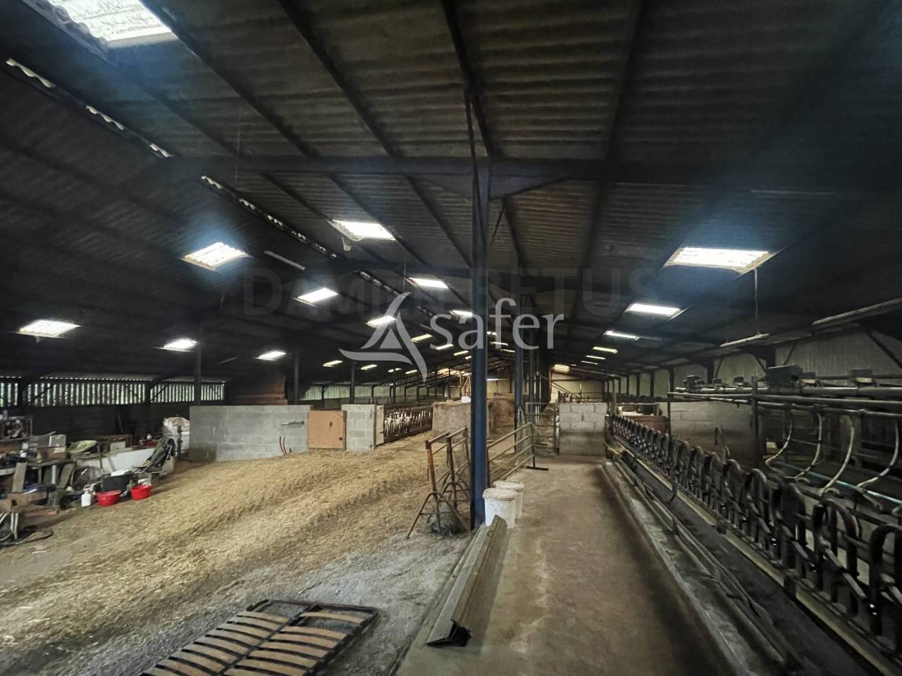 Exploitation Caprine + transformation &agrave; la ferme