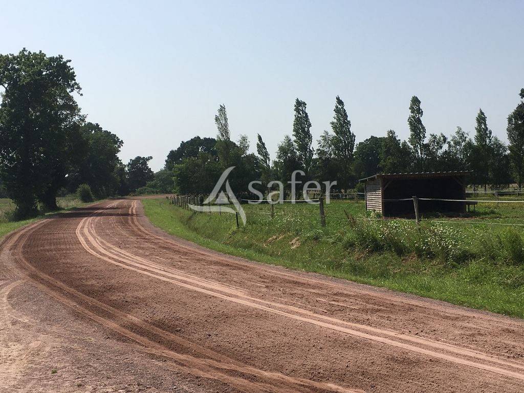 Propri&eacute;t&eacute; &eacute;questre 16 ha possibilit&eacute; 40 ha