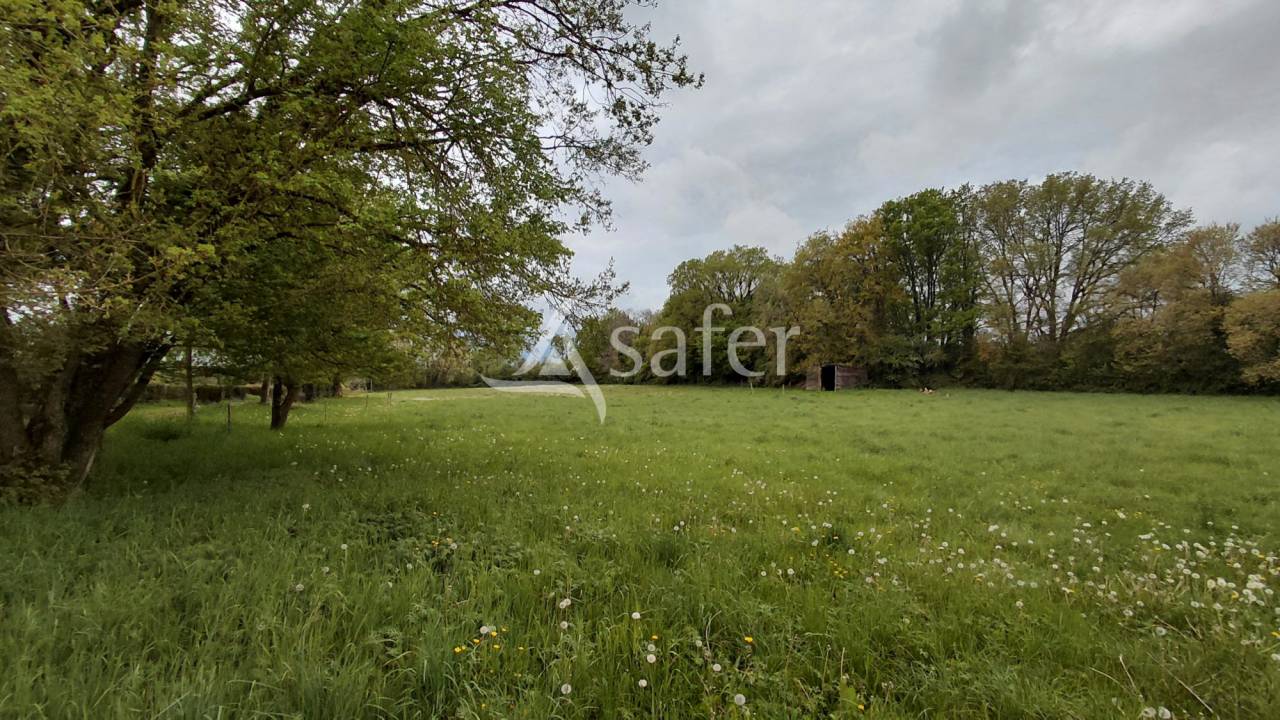Propri&eacute;t&eacute; &eacute;questre sur environ 5 ha.