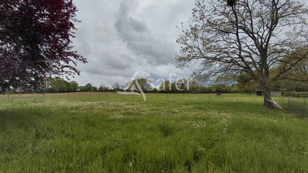 Propri&eacute;t&eacute; &eacute;questre sur environ 5 ha.