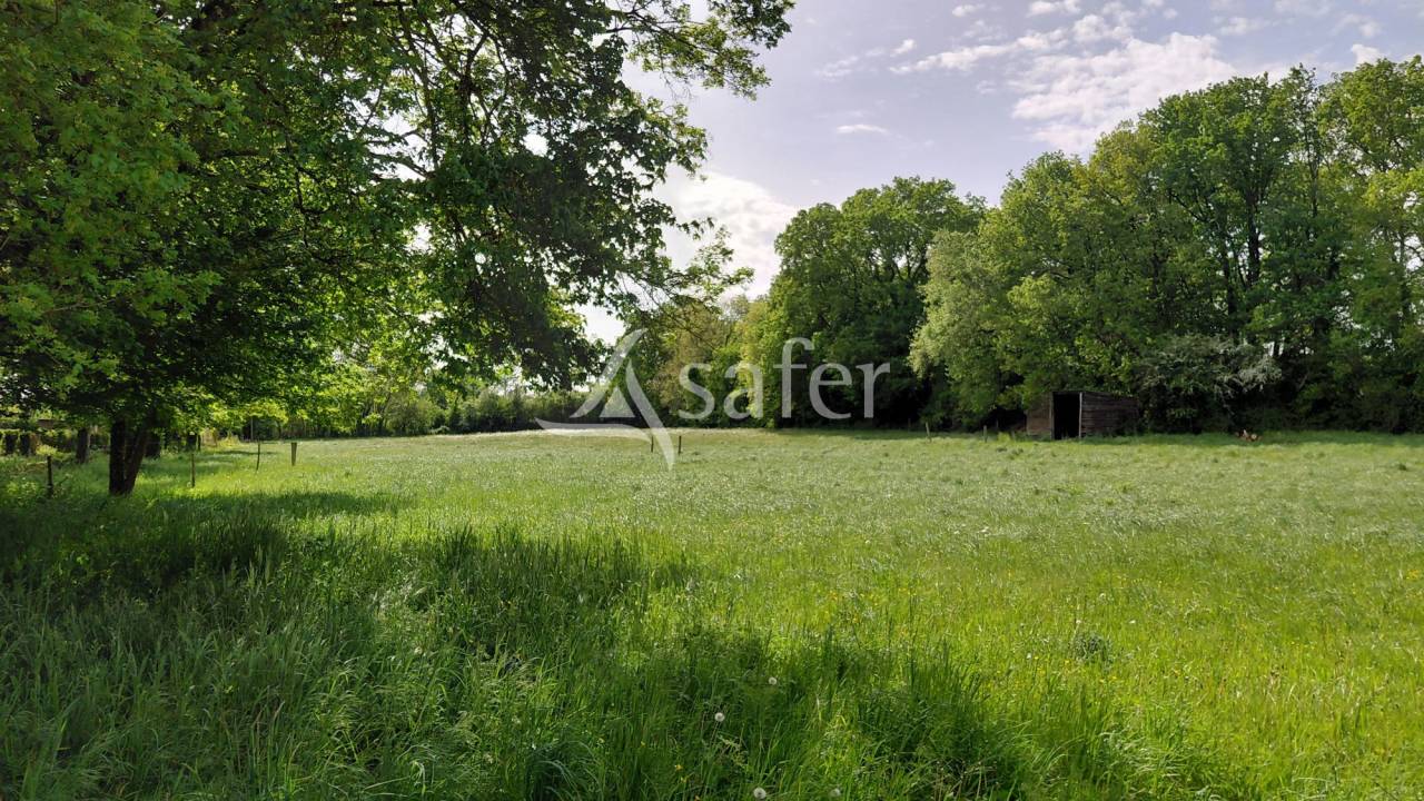 Propri&eacute;t&eacute; &eacute;questre sur environ 5 ha.