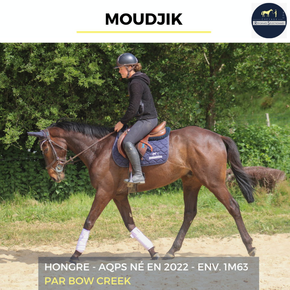 MOUDJIK - AQPS - 4 ANS