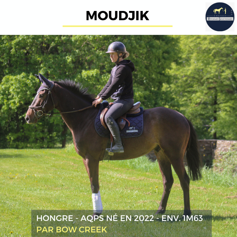 MOUDJIK - AQPS - 4 ANS