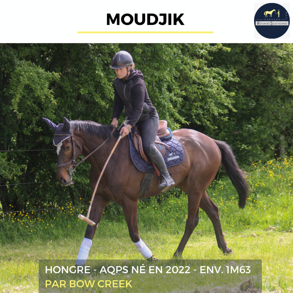MOUDJIK - AQPS - 4 ANS