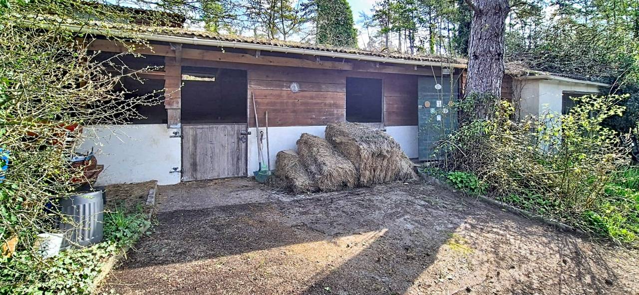 Propri&eacute;t&eacute; &eacute;questre en Essonne