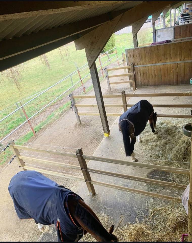 &Eacute;curies Morelli - centre &eacute;questre Prez-vers-Nor&eacute;az