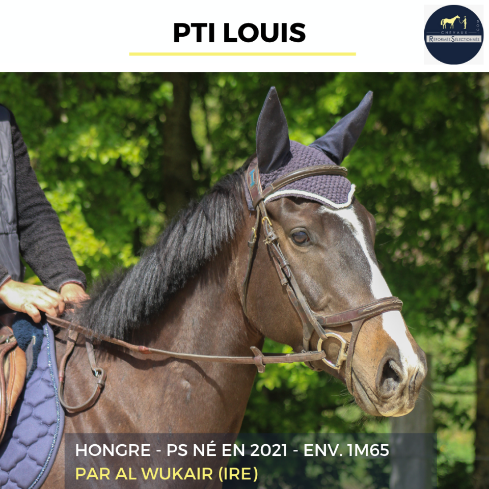 PTI LOUIS - PS - 5 ANS