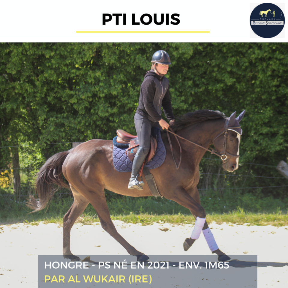 PTI LOUIS - PS - 5 ANS