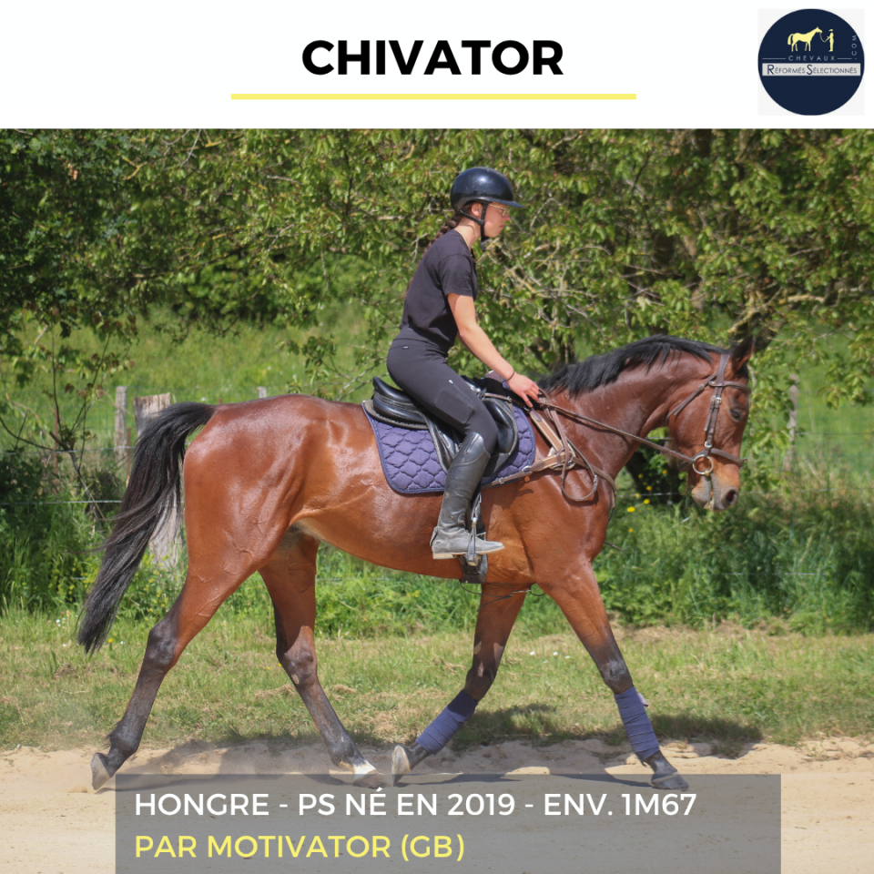 CHIVATOR - PS - 7 ANS