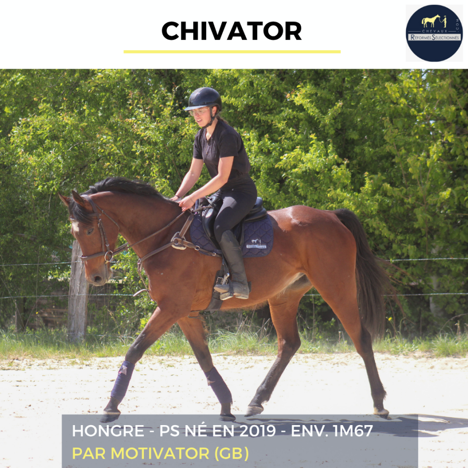 CHIVATOR - PS - 7 ANS