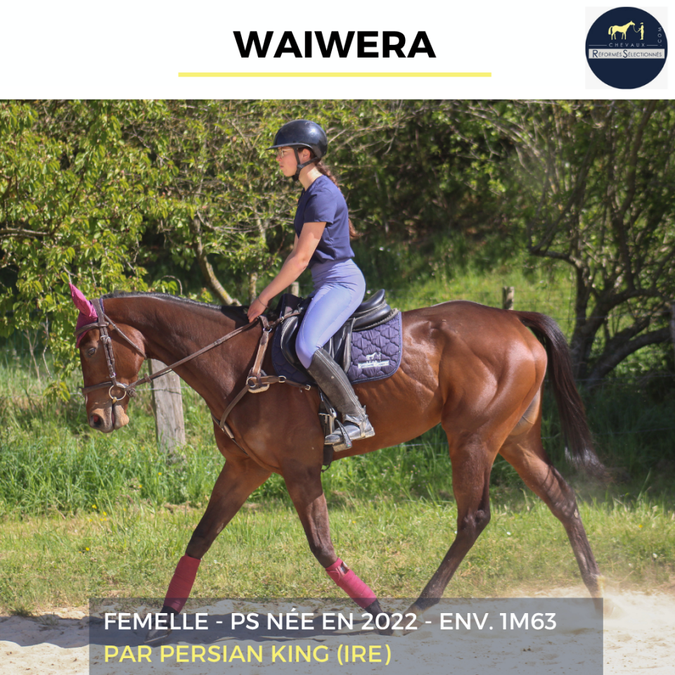 WAIWERA - PS - 4 ANS