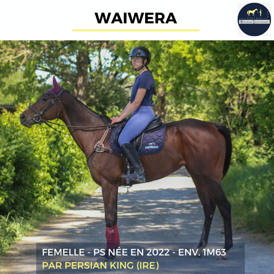 WAIWERA - PS - 4 ANS