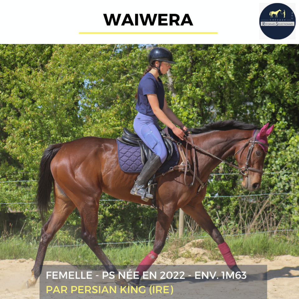 WAIWERA - PS - 4 ANS