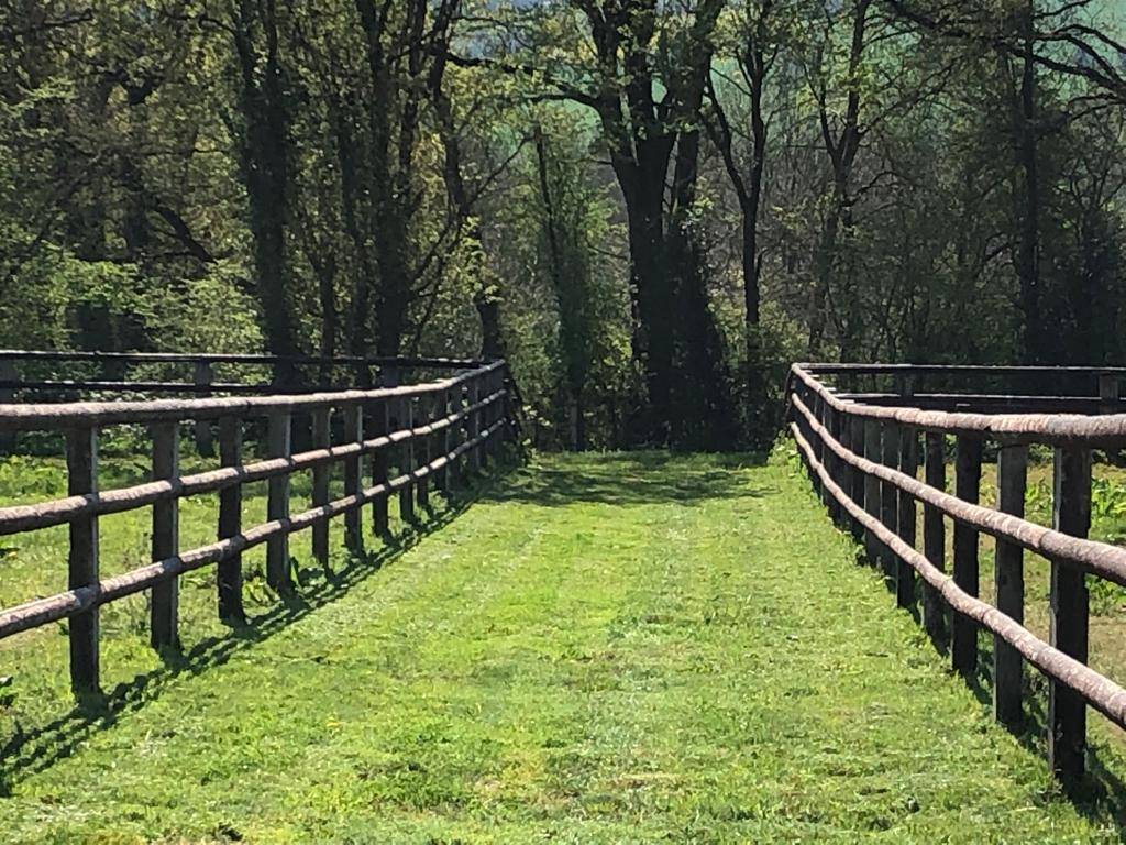 Propri&eacute;t&eacute; &eacute;questre de construction r&eacute;cente 