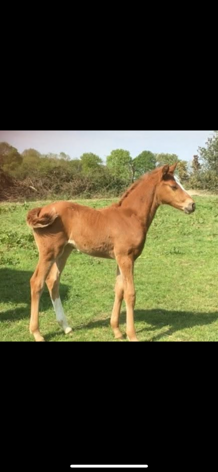 stage ou apprentissage 