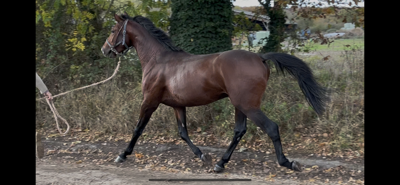 stage ou apprentissage 