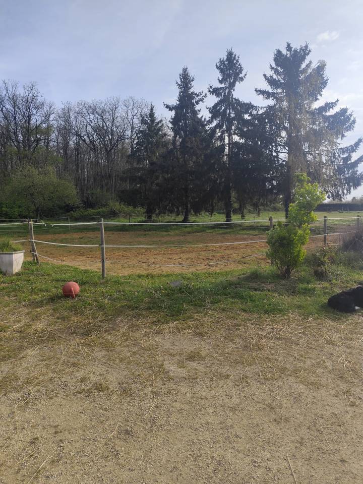 Vend petite structure &eacute;questre avec habitation 