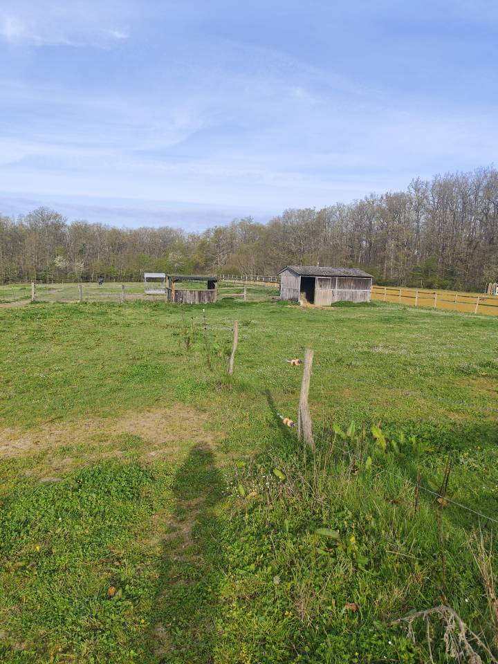 Vend petite structure &eacute;questre avec habitation 