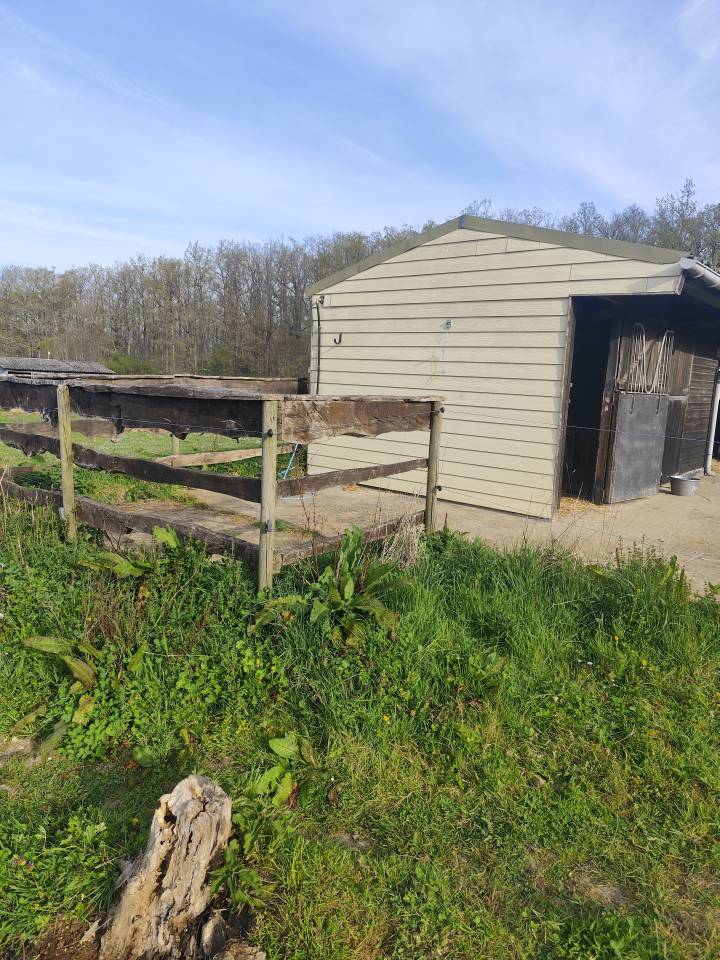 Vend petite structure &eacute;questre avec habitation 