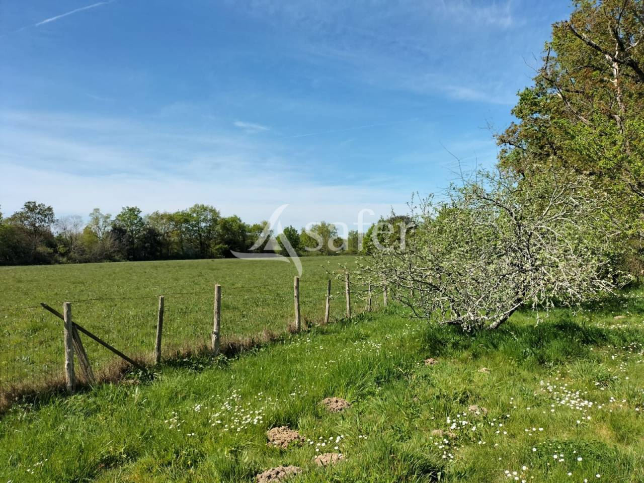 Charmante maison &agrave; la campagne
