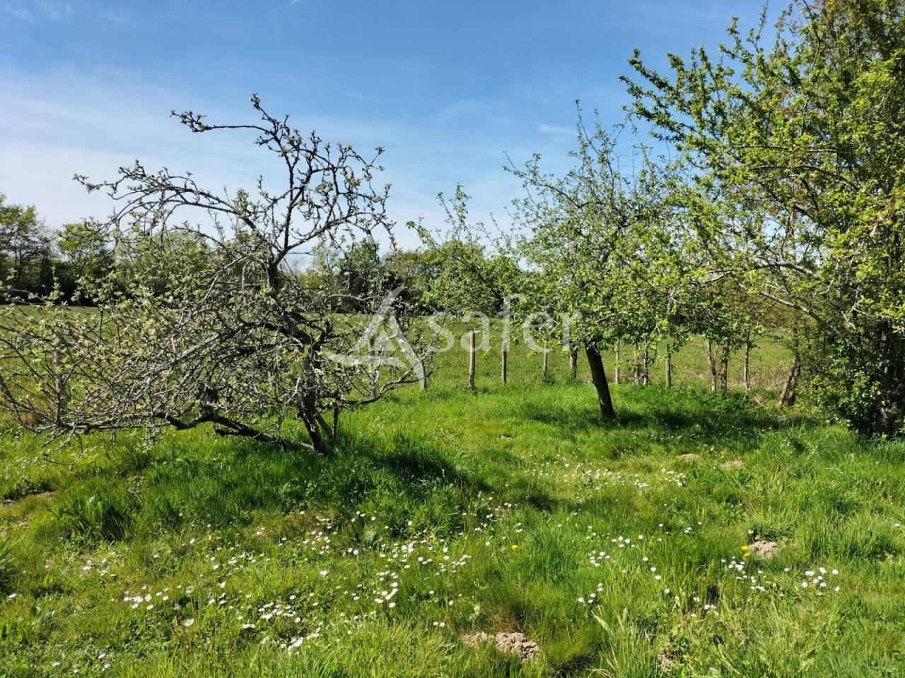 Charmante maison &agrave; la campagne