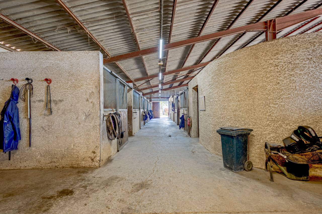 Ecurie &agrave; forte rentabilit&eacute; - Activit&eacute; de transit 