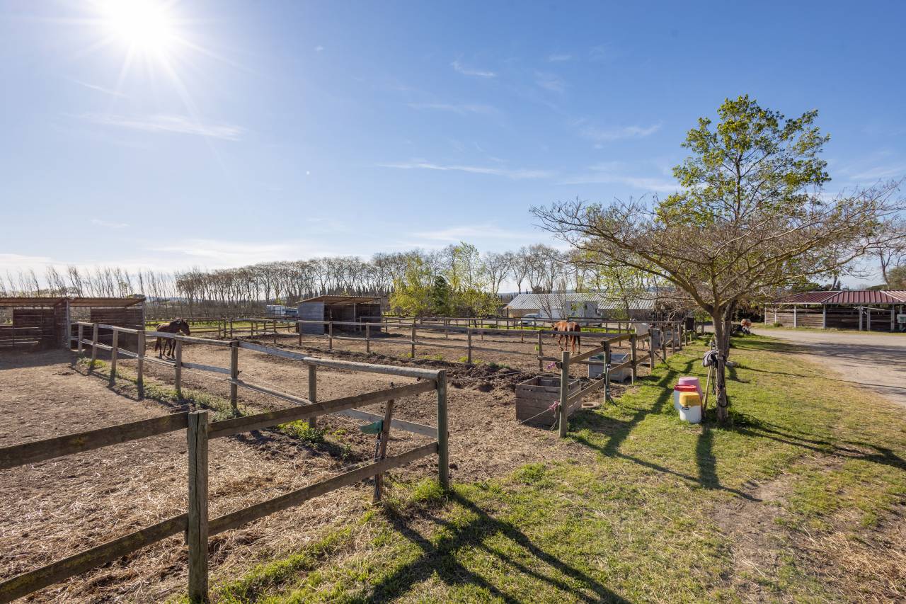 Ecurie &agrave; forte rentabilit&eacute; - Activit&eacute; de transit 