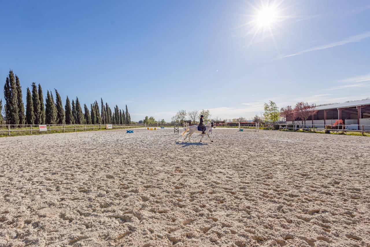 Ecurie &agrave; forte rentabilit&eacute; - Activit&eacute; de transit 