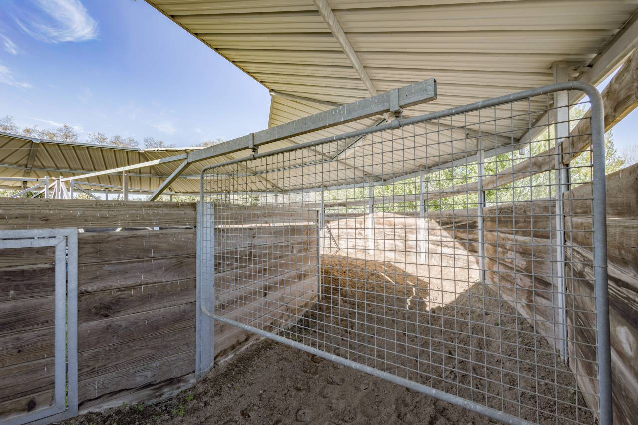 Ecurie &agrave; forte rentabilit&eacute; - Activit&eacute; de transit 