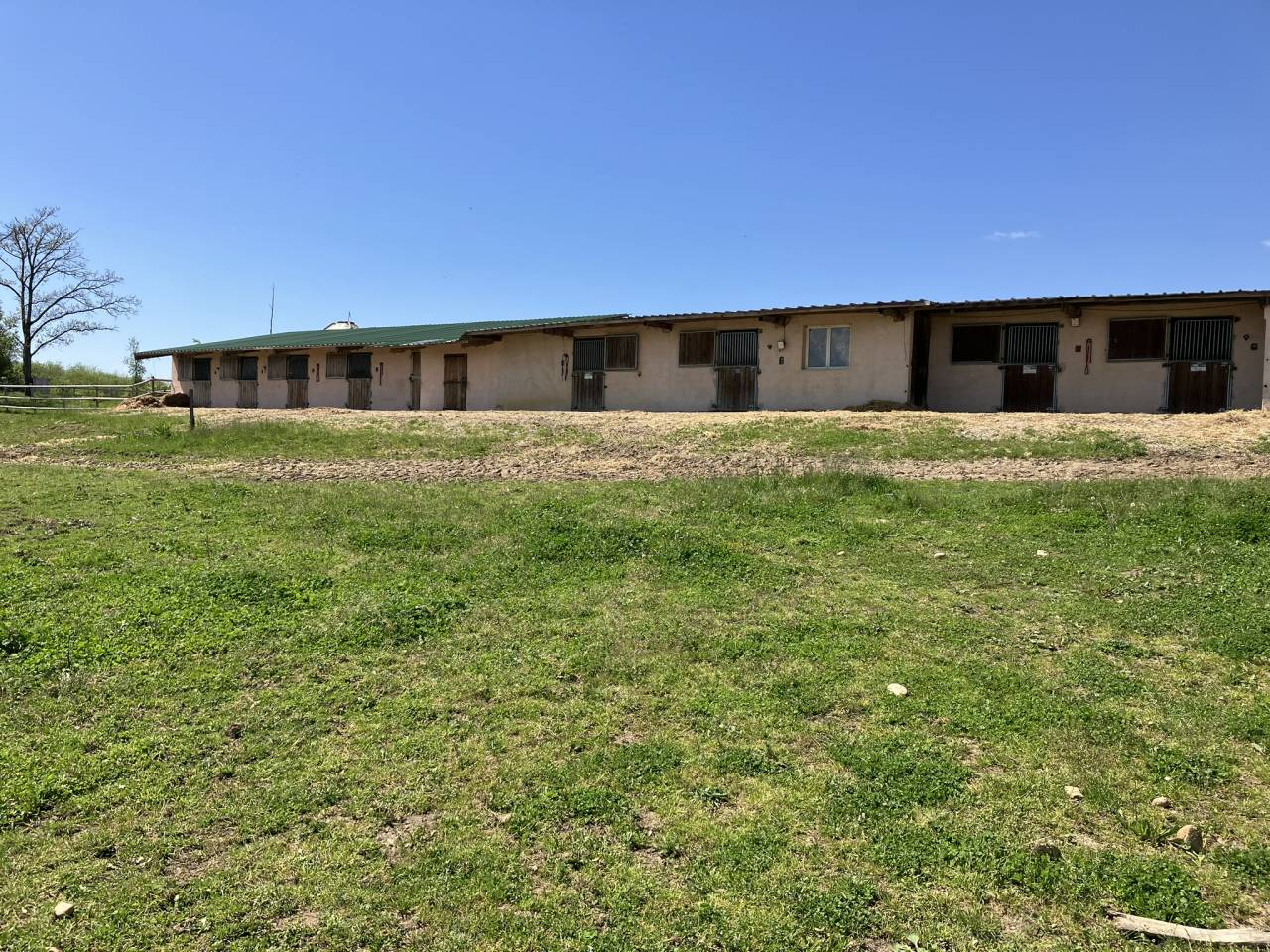 Ecurie d'&eacute;levage de valorisation de chevaux de sport