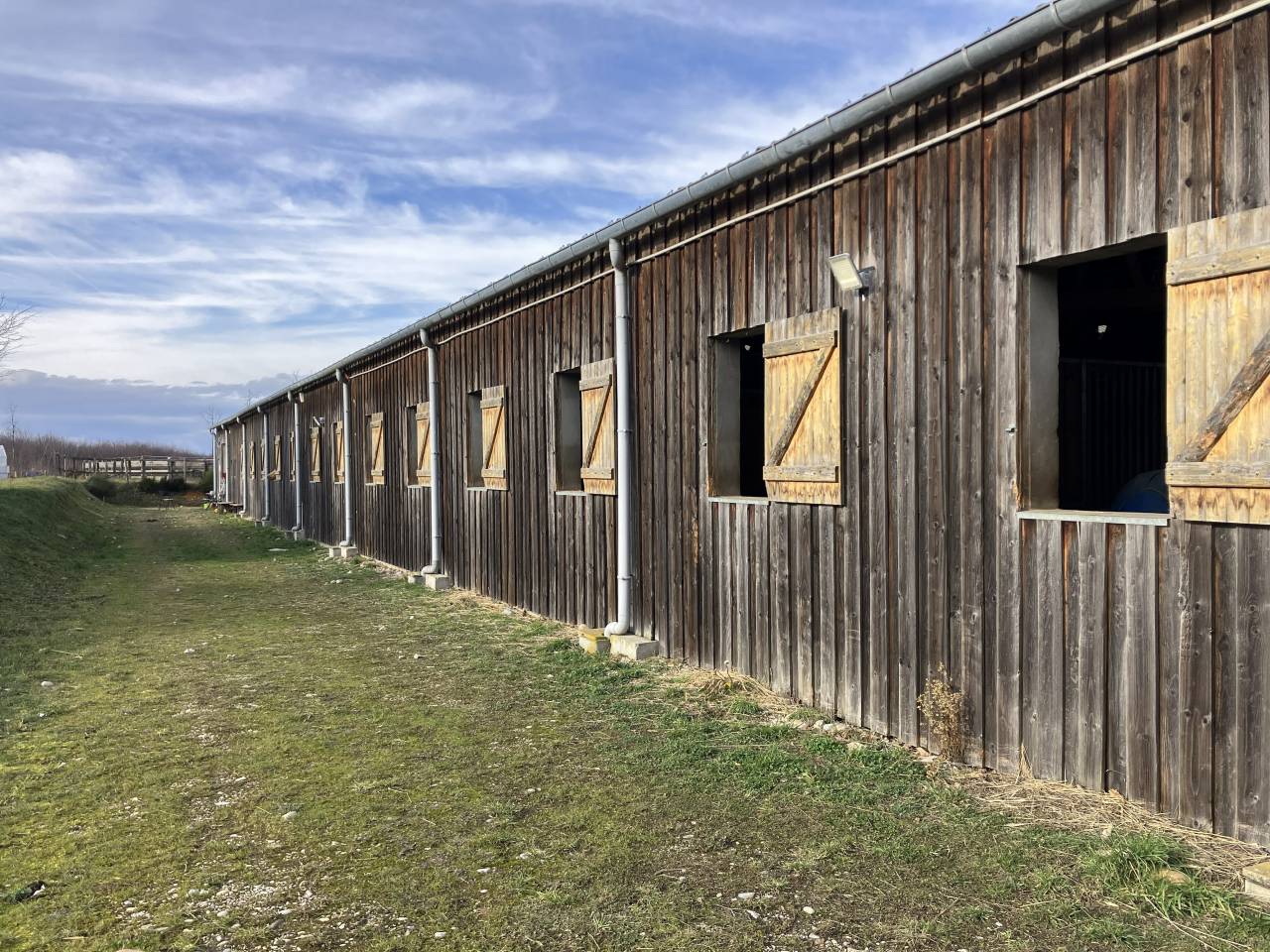 Ecurie d'&eacute;levage de valorisation de chevaux de sport