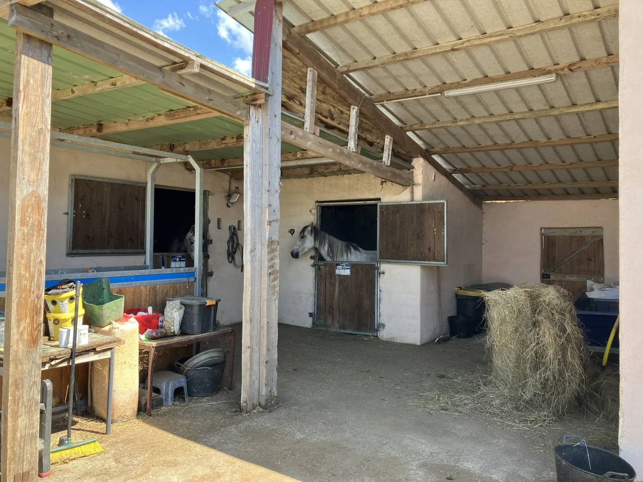 Ecurie d'&eacute;levage de valorisation de chevaux de sport