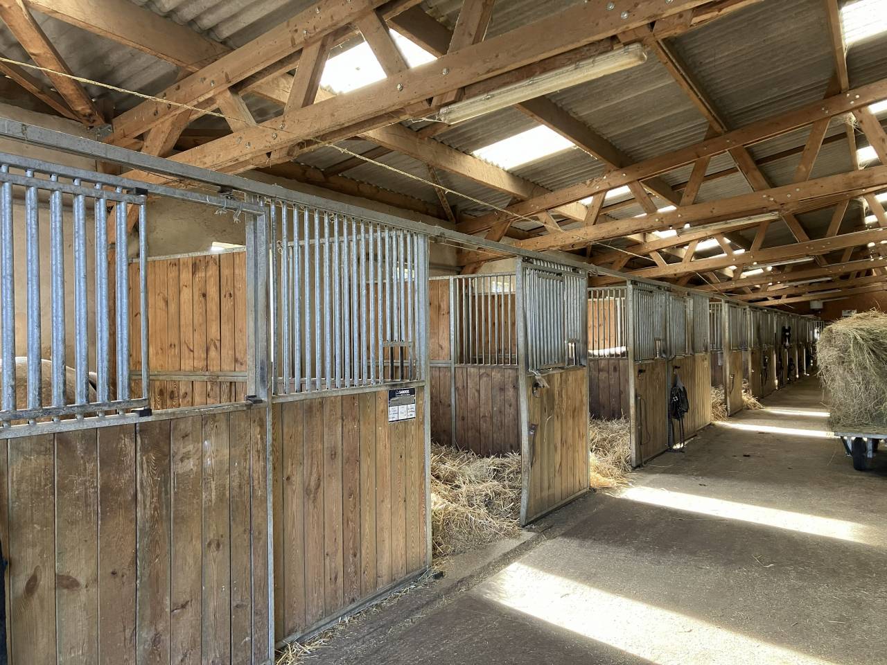 Ecurie d'&eacute;levage de valorisation de chevaux de sport