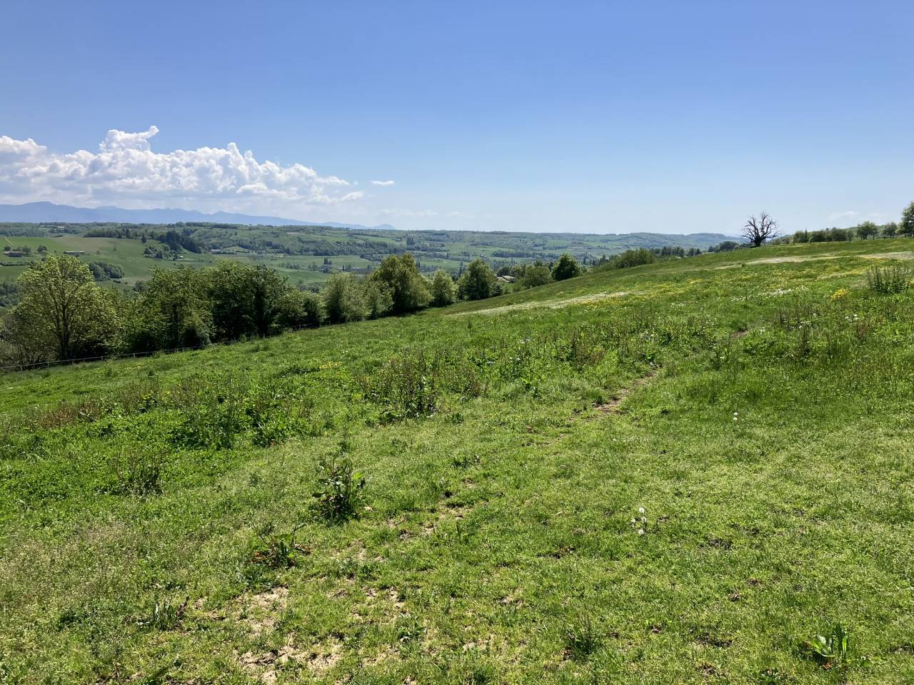 Ecurie d'&eacute;levage de valorisation de chevaux de sport