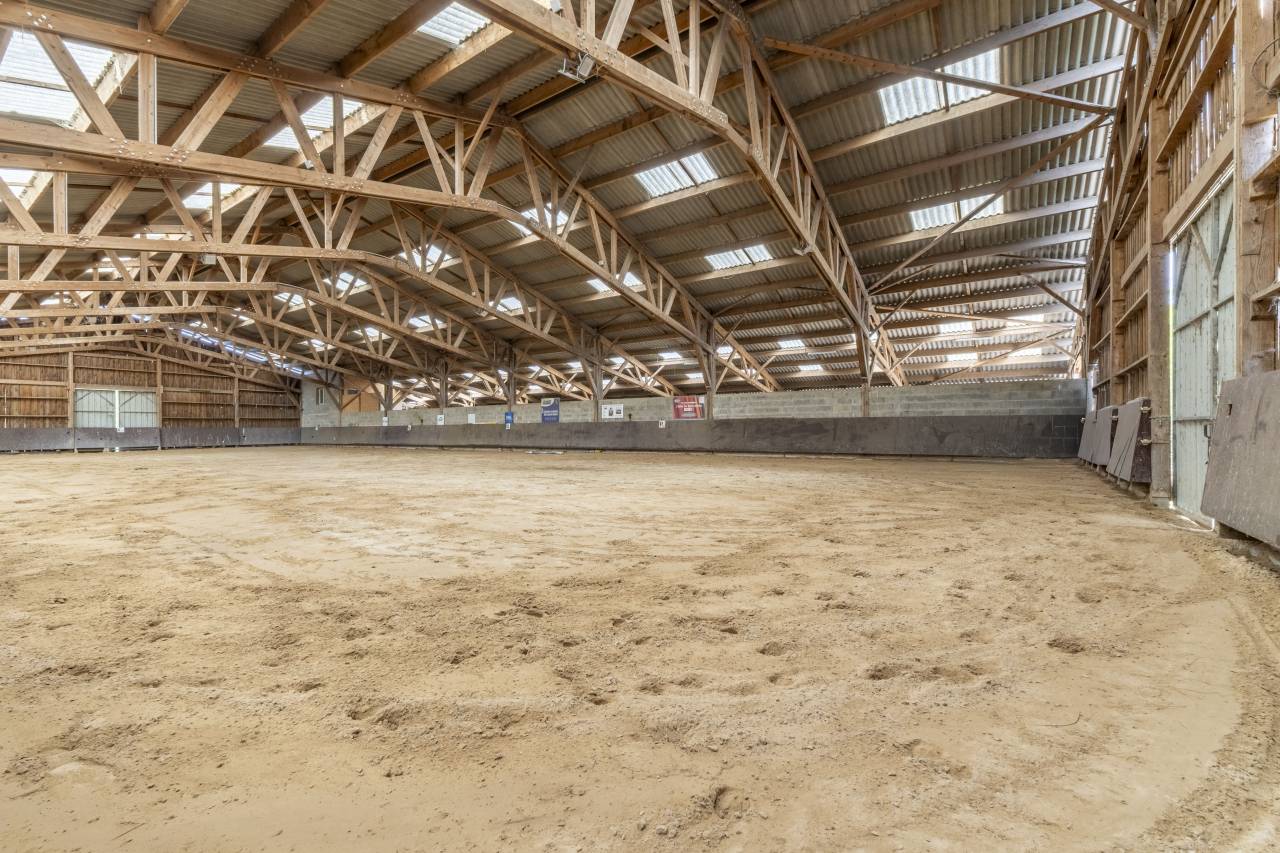 Ecurie d'&eacute;levage de valorisation de chevaux de sport