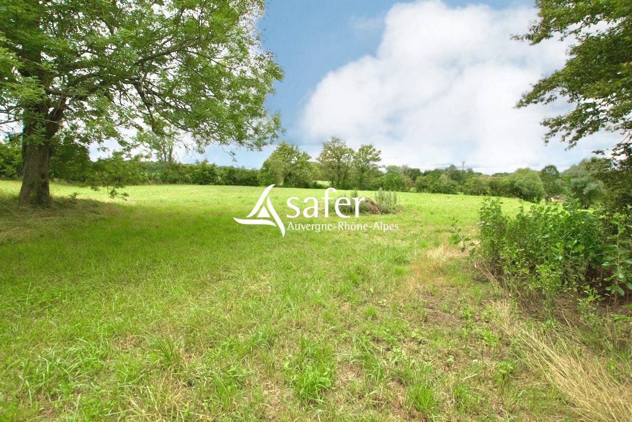 Propri&eacute;t&eacute; &eacute;questre en Bresse