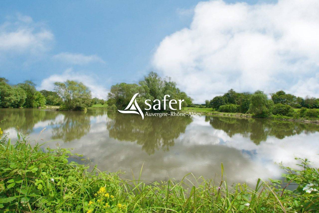 Propri&eacute;t&eacute; &eacute;questre en Bresse