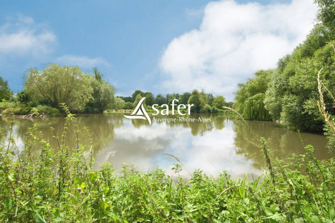 Propri&eacute;t&eacute; &eacute;questre en Bresse