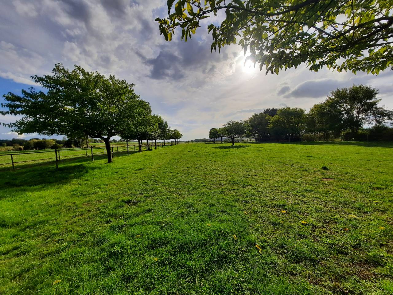 Propri&eacute;t&eacute; &eacute;questre de charme avec g&icirc;te - 15 mn de Royan