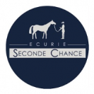 chevauxreformesselectionnes.com